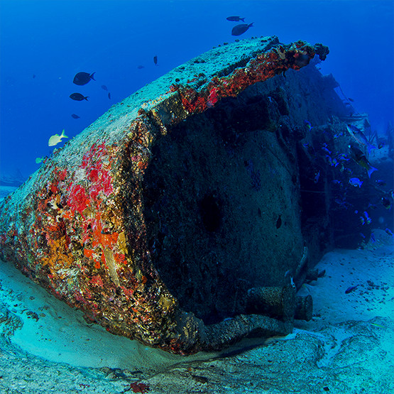 Certified Scuba Diving 2 Tanks + Wreck Dive + Coral Reef