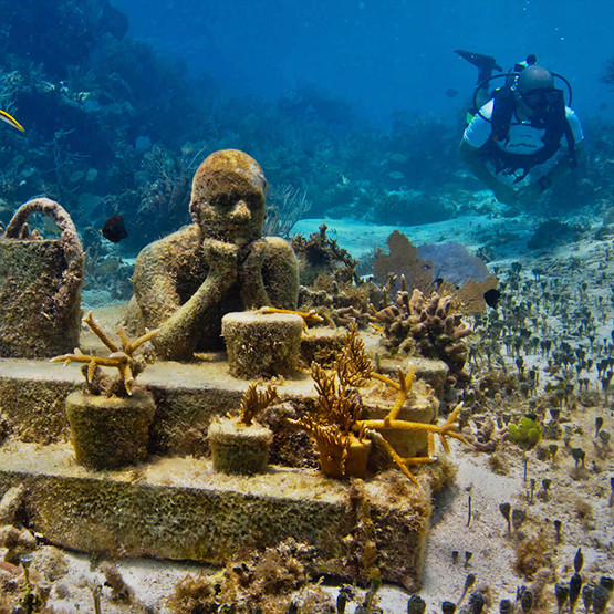 Discovery Diving 1 Tank + Underwater Museum