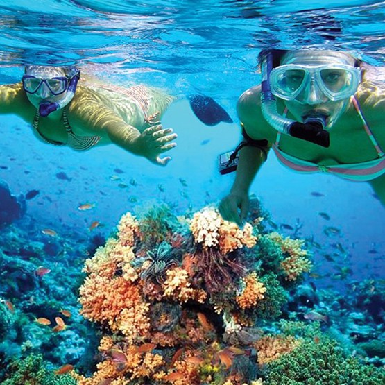 Cancun Snorkel Adventure 6n1
