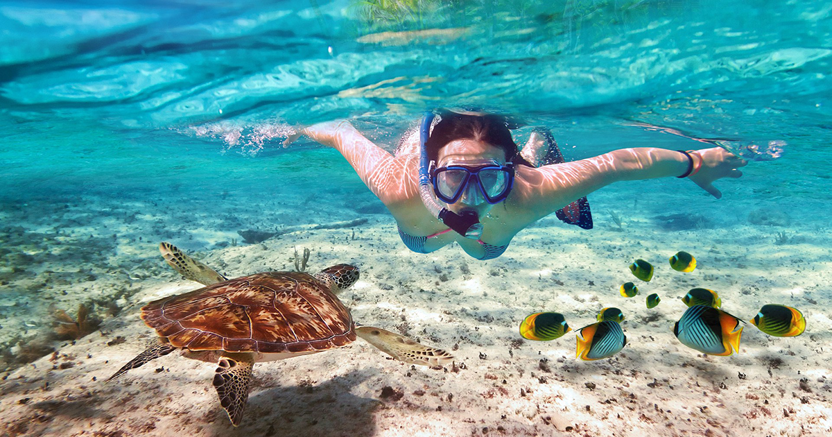 Cancun Snorkel Adventure 6n1 Tour For Only 65 USD